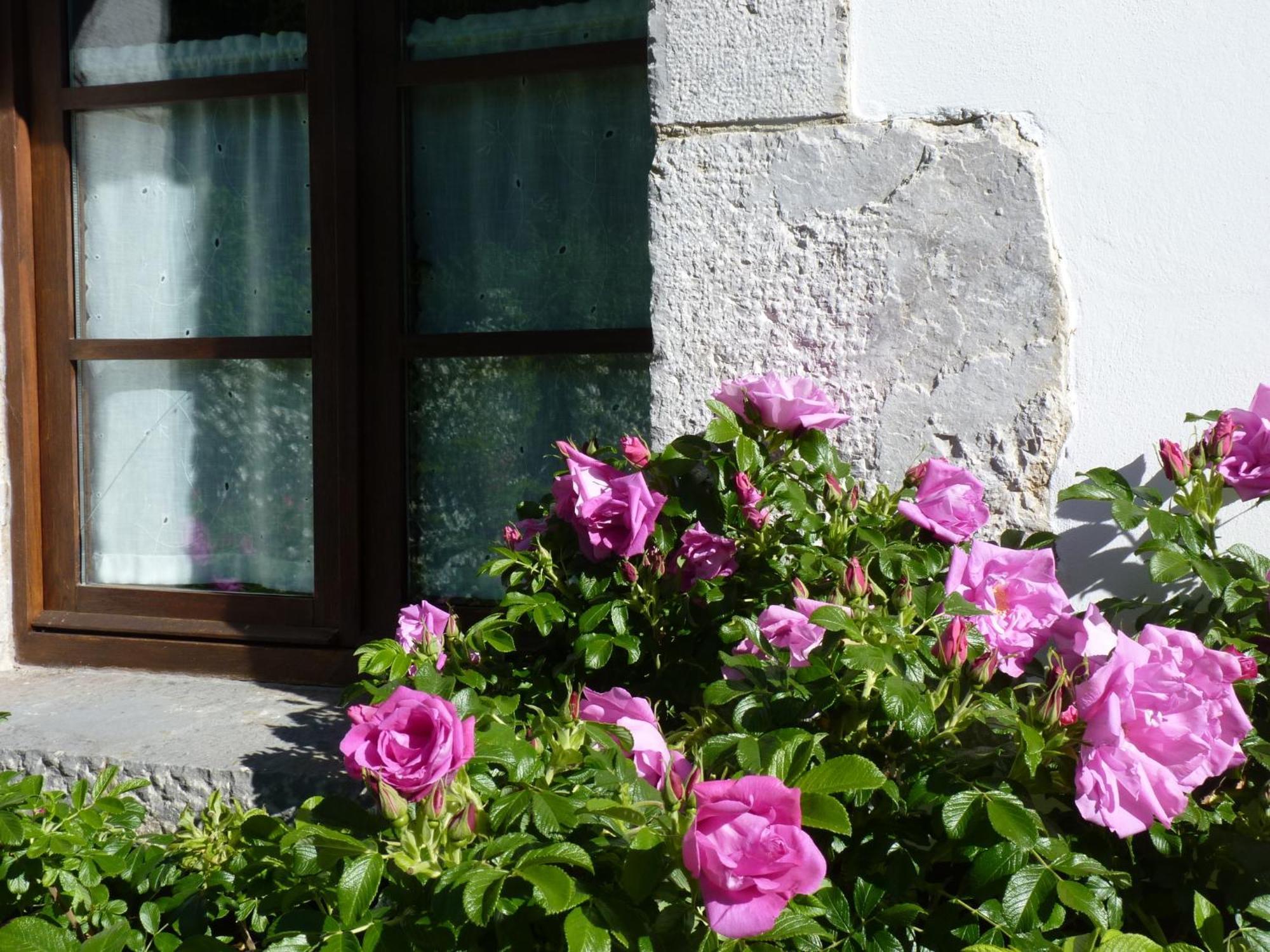 Casa Rural Los Riegos カソ エクステリア 写真